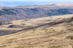 
Johnsons Mine, Forgeside, Blaenavon, March 2010